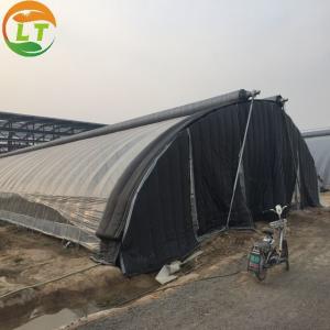 China White Double Layer Greenhouse for Mushroom Farming Profitability wholesale