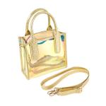 Reusable Waterproof Transparent Iridescent Beach Bag