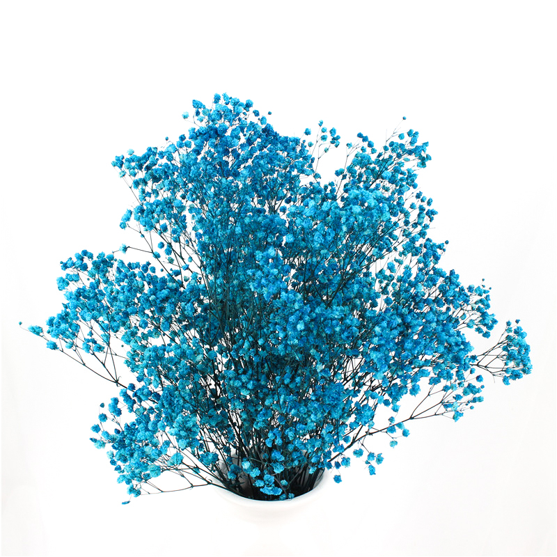 Indoor Decoration Preserved Babys Breath For Decorating Living Room