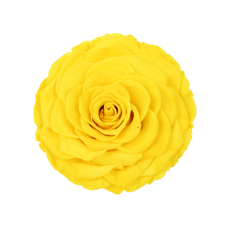 Home Decor Preserved Rose Heads Creative Household Decorative Furnishings