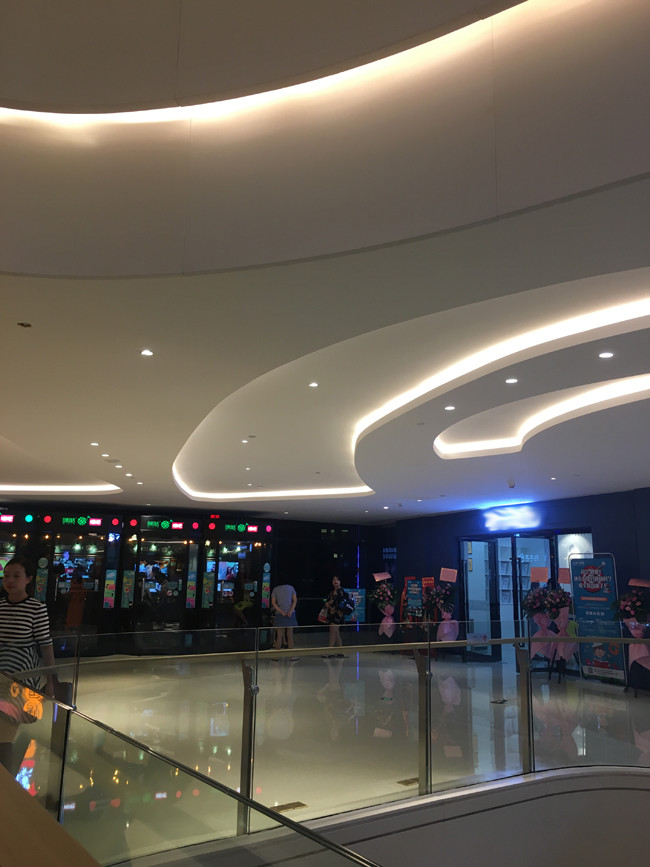 Outdoor IP67 LED Flexible Strip Lights Architectural Decorative Lighting