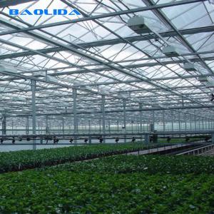 China Agriculture Multi Span Venlo Glass Greenhouse For Tomato Planting wholesale