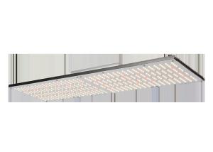 China Vertical Farming IP65 395nm Indoor Grow Lights wholesale