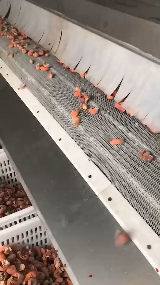 300KG/H IQF Tunnel Food Freezing Machine For French Fries Fish