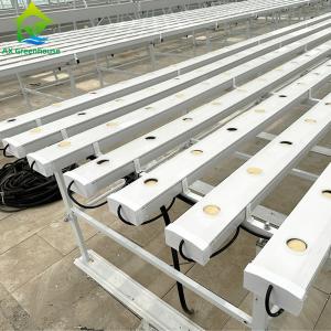 China Greenhouse Farming Soilless Hydroponic NFT PVC Pipe Tube Growing System wholesale