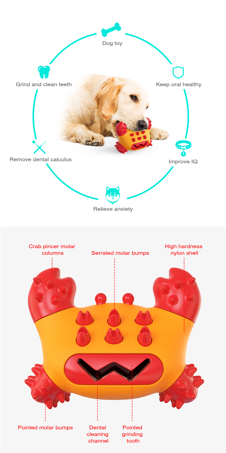 TPR Pet Cute Pet Toys Protective Molar Cleaning Toothbrush Molar Bite