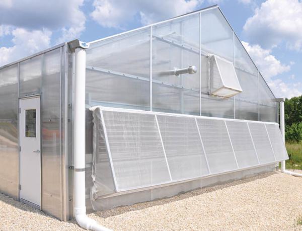 Hot Galvanized Steel Pipes Auto Light Deprivation Greenhouse With Blackout