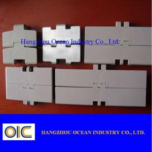 China Plastic Flat Top Chain , type 828 , 831 wholesale