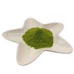 Powder Form Nature Seaweed Extract Seaweed Polysaccharides 40%