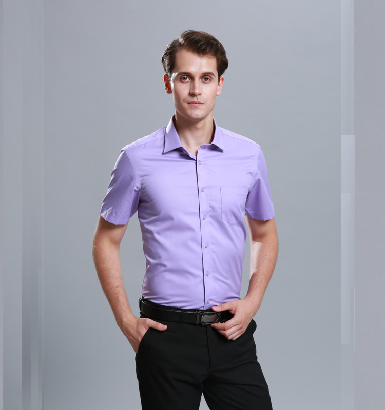 Men Business Dress Shirts Short Sleeve Stylish Anti - Pilling Turn Down Collar