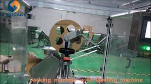 China potato chips snack packing machine wholesale