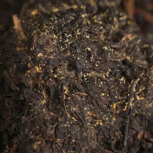 China Slimming Organic Dark Chinese Tea Wholesale Health Pollution Free wholesale