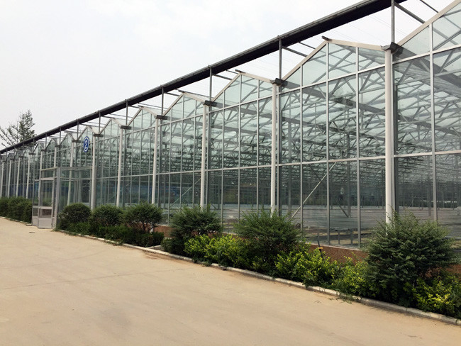 Sound Insulating Commercial Glass Greenhouse Good Display Effect Beautiful Appearance