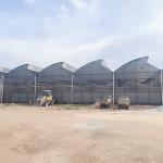 Tropical Climate Sawtooth Poly Tunnel Plastic Film Agricultural Greenhouse