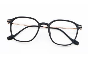 China Adjustable Glasses TR Frames Beta Titanium Ultra Lightweight ZTO 1009 wholesale