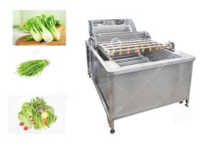 China Leaf Vegetable Washing Machine Fruit And Vegetable Processing Equipment Without Damanage wholesale
