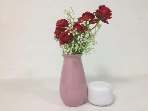 Professional House Ultrasonic Essential Oil Diffuser / Pink Electric Air