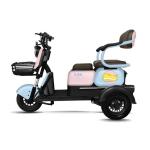 EU Stock Electric Offroad Scooter Motorcycle for Passenger 3 Wheel Adult Trike