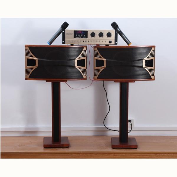 10 - inch home KTV audio suite home karaoke OK card package professional stage