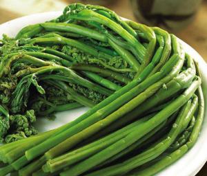 China Salted Bracken wholesale