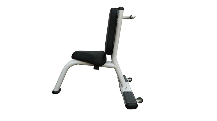 Safety Gym Rack And Bench , Structural Frame Weight Utility Exercise Bench