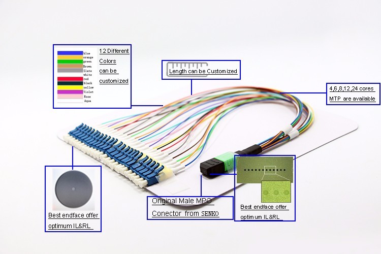 OM4 MM Fan Out MTP Female SC APC Patch Cord