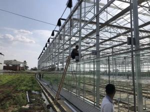China Agricultural / Industrial Garden Greenhouse For Vegetables / Mushrooms / Flowers wholesale