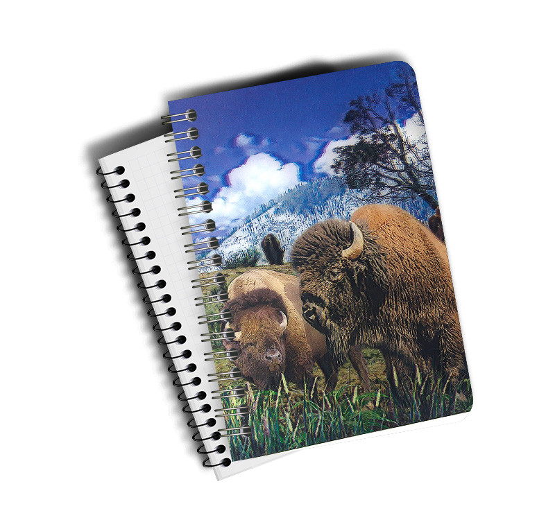 Custom A4 A5 A6 Wolf Images 3D Lenticular Cover With PET / PP Friendly Material