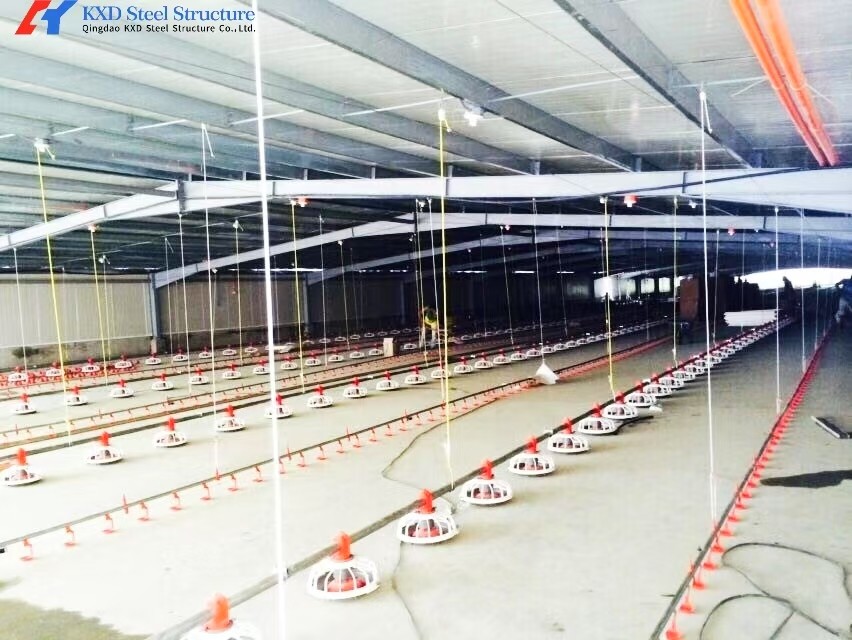 Steel Poultry House Equipment Automatic Customized Broiler Feeding System