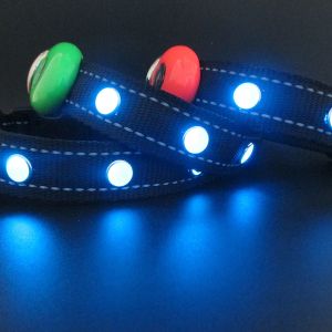 2018 waterproof night safety led light pet dog belt