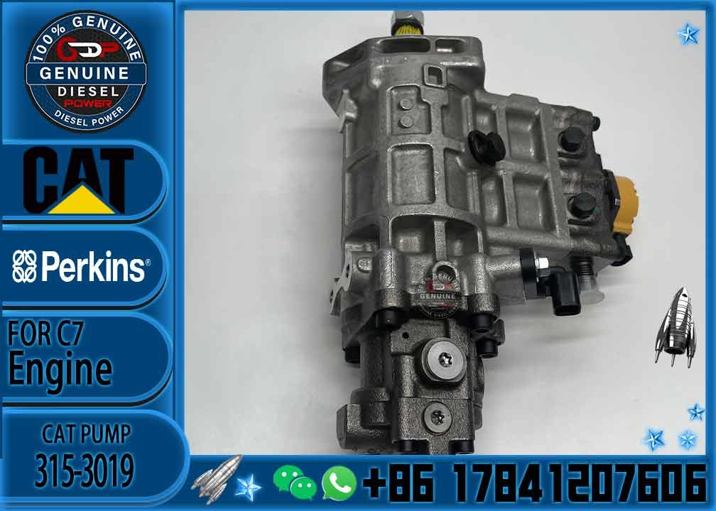 Diesel Engine Diesel Fuel Injection Pump 315-3019 For Caterpillar 320D Excavator 3153019 C6.6
