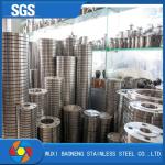 Pn6-100 Forged Stainless Steel Flanges Neck Welded Duplex Steel Flanges National