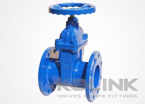 China BS5163 Resilient Seated Gate Valve Ductile Iron GGG40 GGG50 Irrigation wholesale