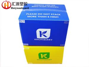 China Printable Collapsible Custom Corrugated Plastic Boxes wholesale