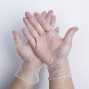 China EN455 12 Inch Pvc Medical Vinyl Examination Gloves Powder Free wholesale