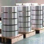 DIN 2507 Stainless Steel Strip Spring 19mm Flat Used In Food Vessel