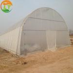 Efficiently Assembled Economical Galvanized Steel Frame Garden Portable