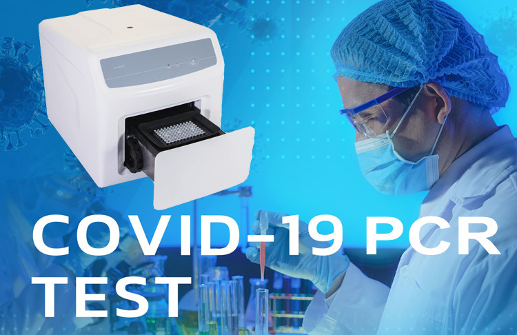 Bonnin High Efficiency Real Time PCR System 10 To 50μL Molecular Biology Diagnosis
