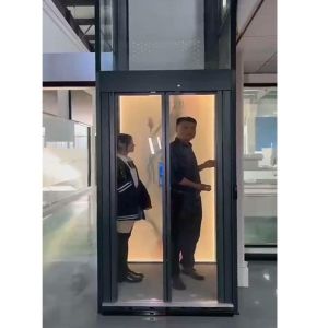 China Luxury Traction Home Elevator | Smart Microprocessor Control wholesale