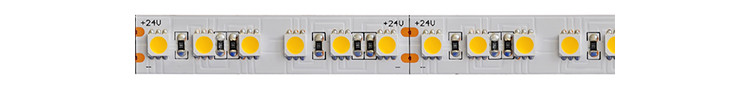 Waterproof 5050 Single Color LED Strip Lights 12V 24V Warm White Blue Green Outdoor IP65 IP68