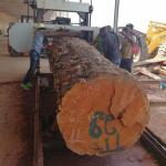 Portable Wood Cutting Band Saw Sawmill Horizontal Wood Band Saw Machine For Wood