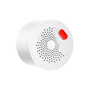 China GR-GS400T-1 WIFI TUYA Gas Detector wholesale