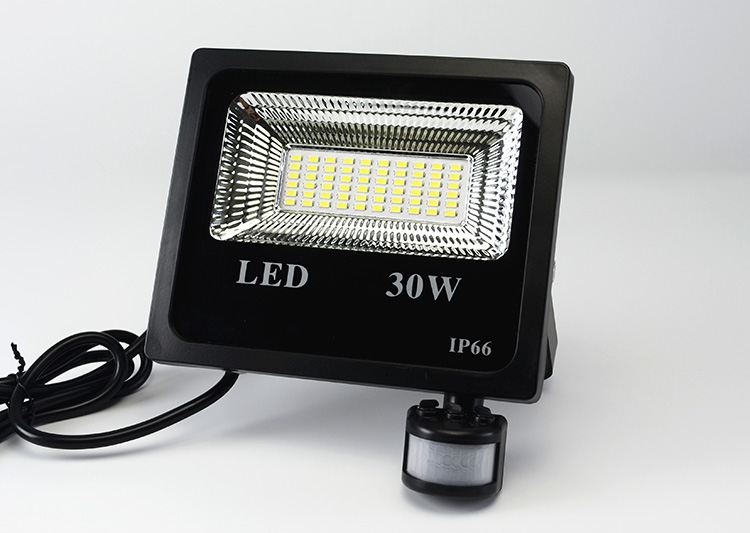 Waterproof Driver Motion Sensor Led Flood Light PIR 110lm/W 30W