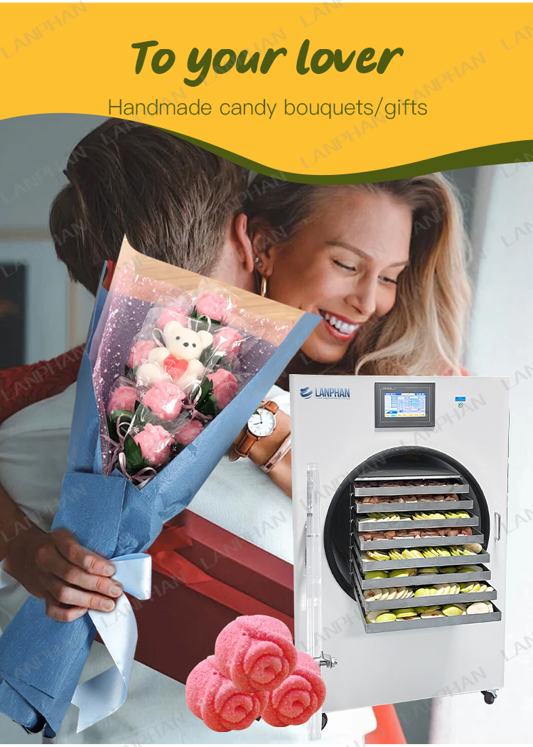Freeze Dryer Equipment Fruit candy Meat Freeze Dryer 220V Freeze Dry Machine