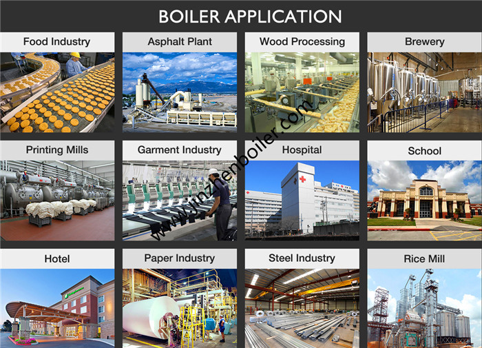 4ton Wood Pellet Wood Chips Biomass Fuel Fired Steam Boiler For Slaughterhouse