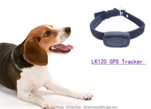 China China Manufacturer Hot sale Pet GPS TrackerIP67 Smallest One Pet GPS Locator LK120 wholesale