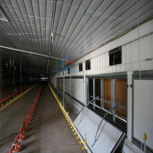 China Poultry Farm Steel Structures , Q235 Q345 Steel Cattle Buildings wholesale