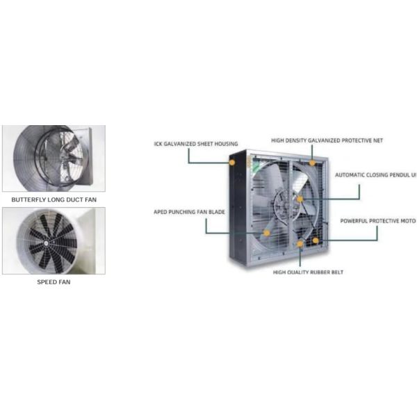 KXD Poultry House Equipment Automatic Broiler Feeding System For Broilers / Layers