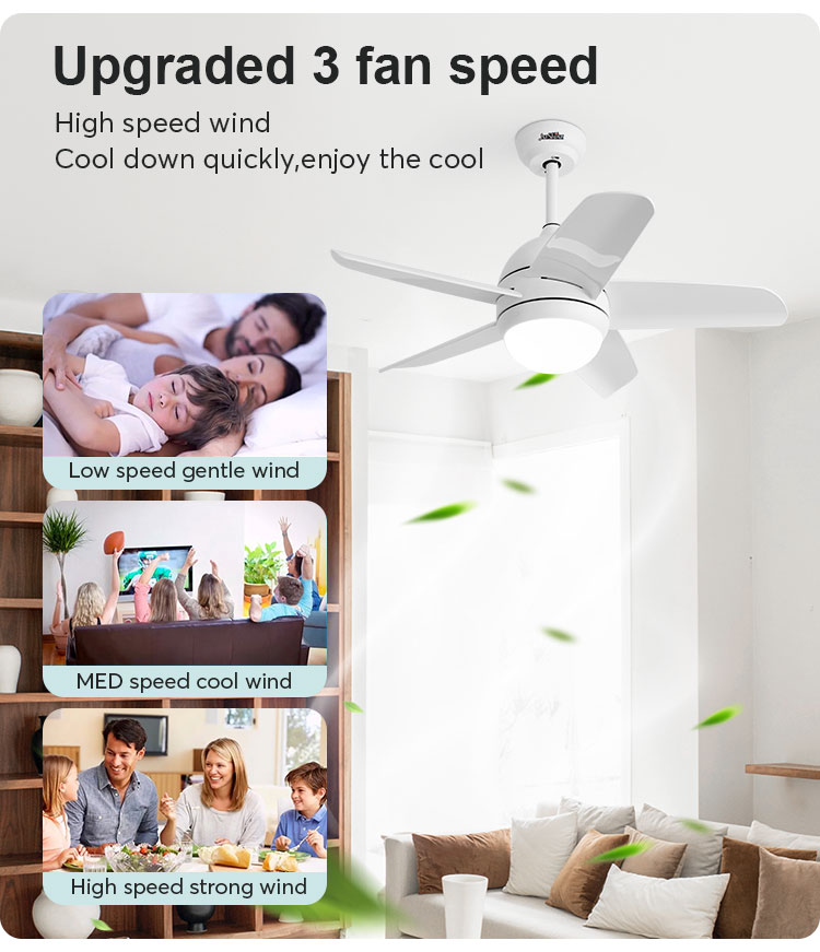 ceiling fan