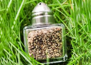 China 17ml Glass Condiment Shaker by Metalcraft, Featuring a Sturdy Metal Lid wholesale